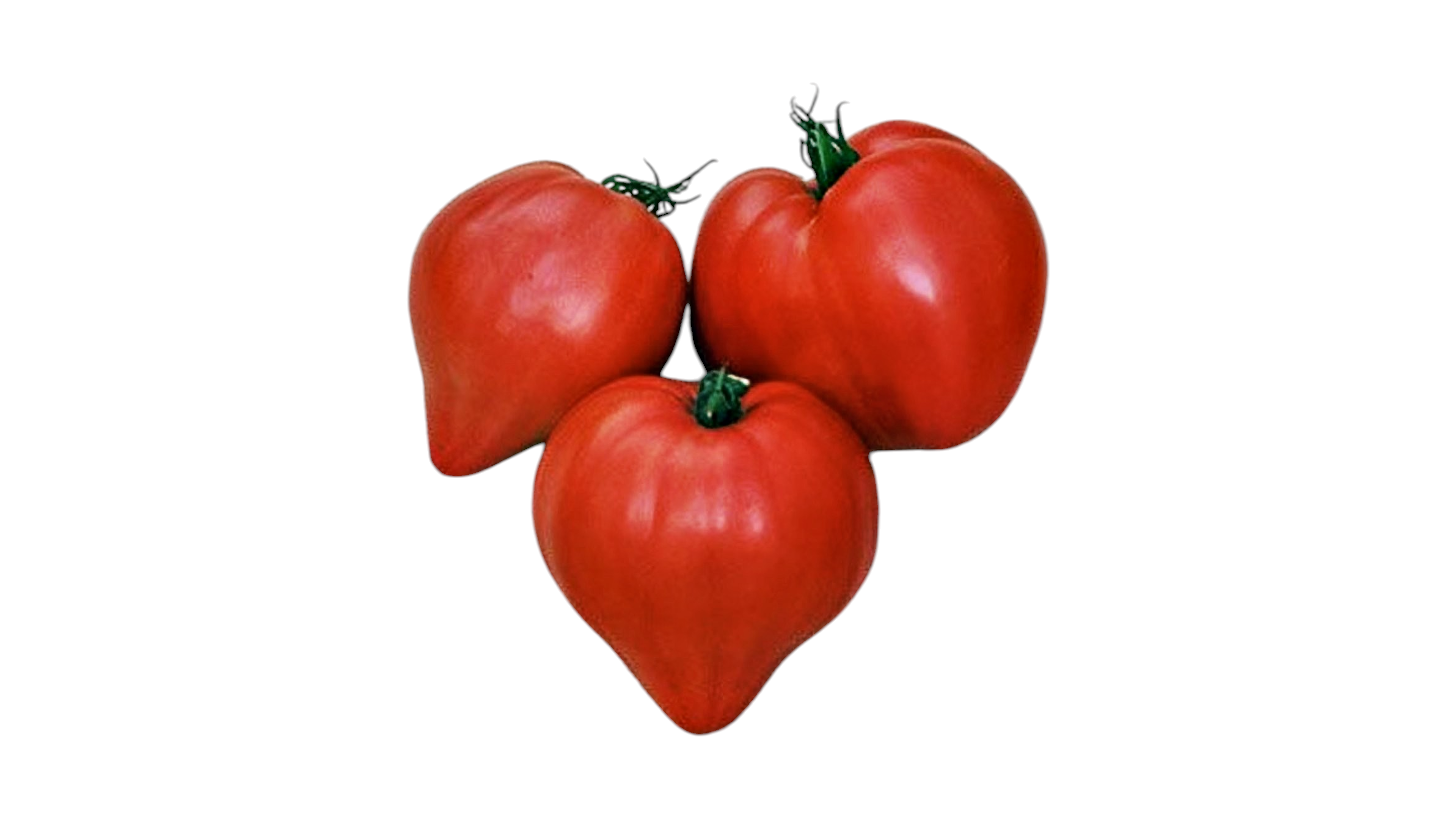 Rajčica volovsko srce, 1 kg