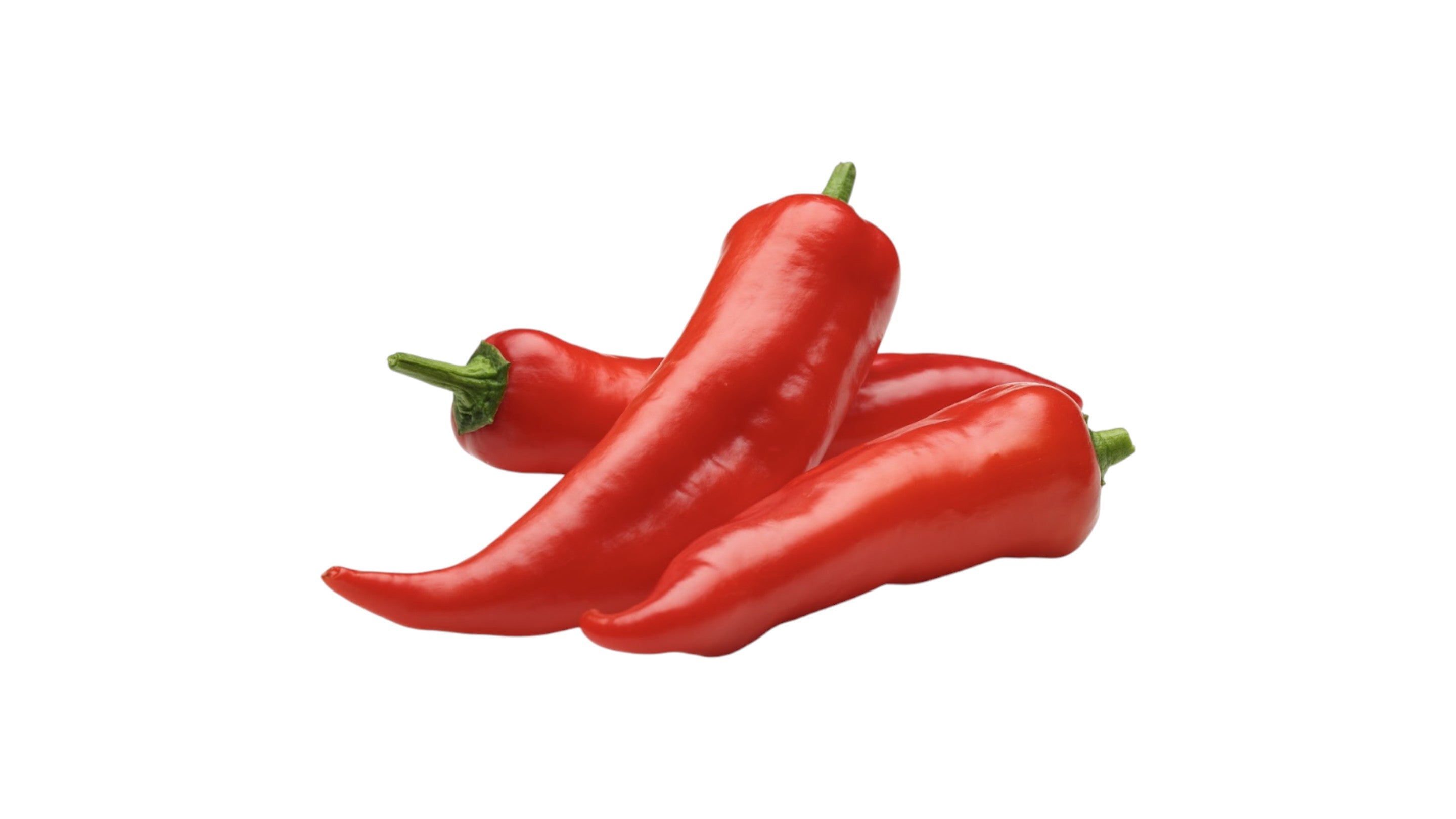 Paprika roga, 500 g