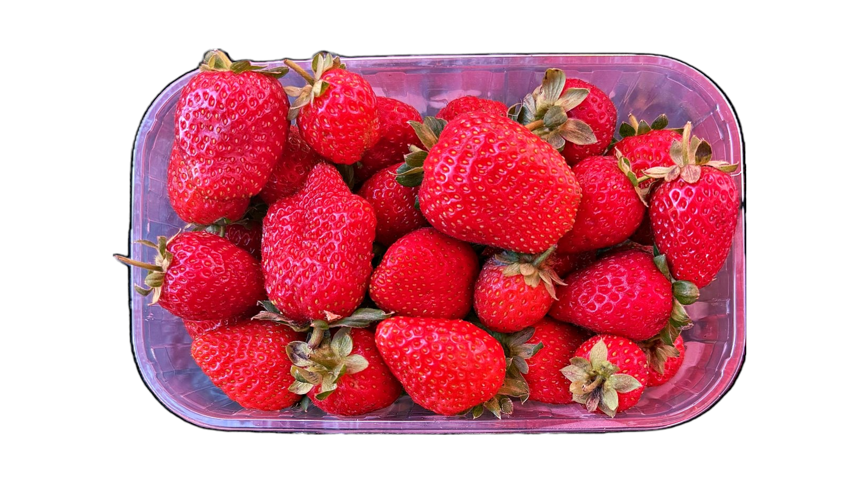 Jagode mjesečarke, 500 g