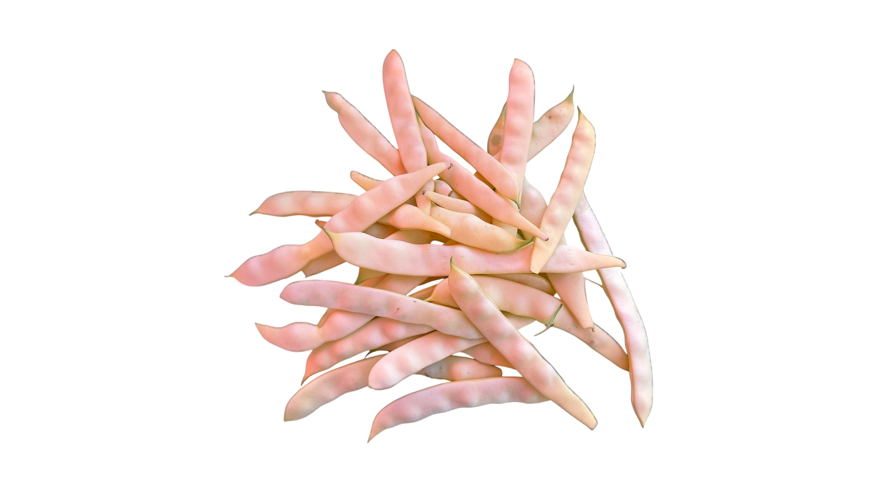 Mahuna žuta puterica, 500 g