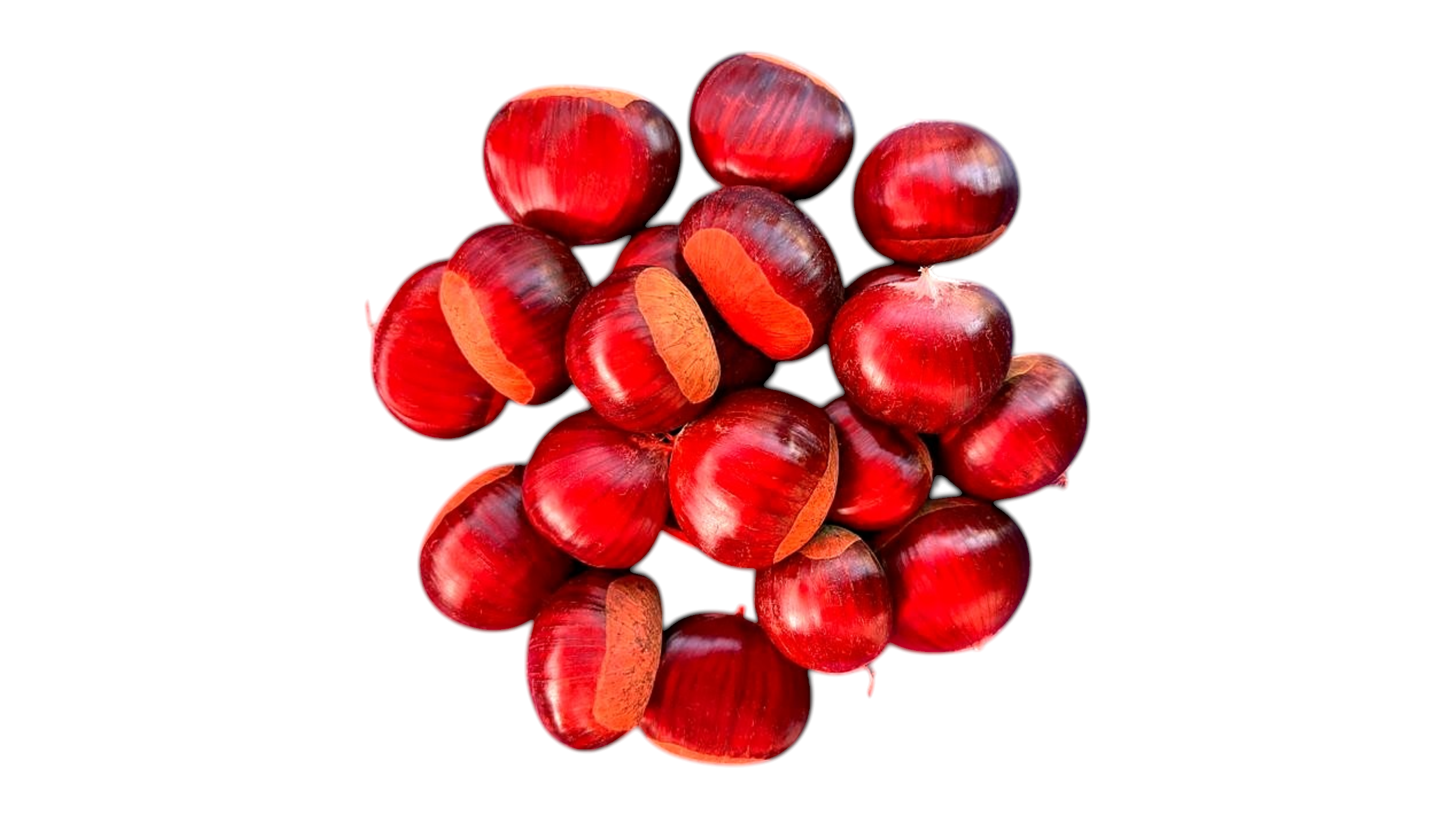 Kesteni - maroni, 500 g