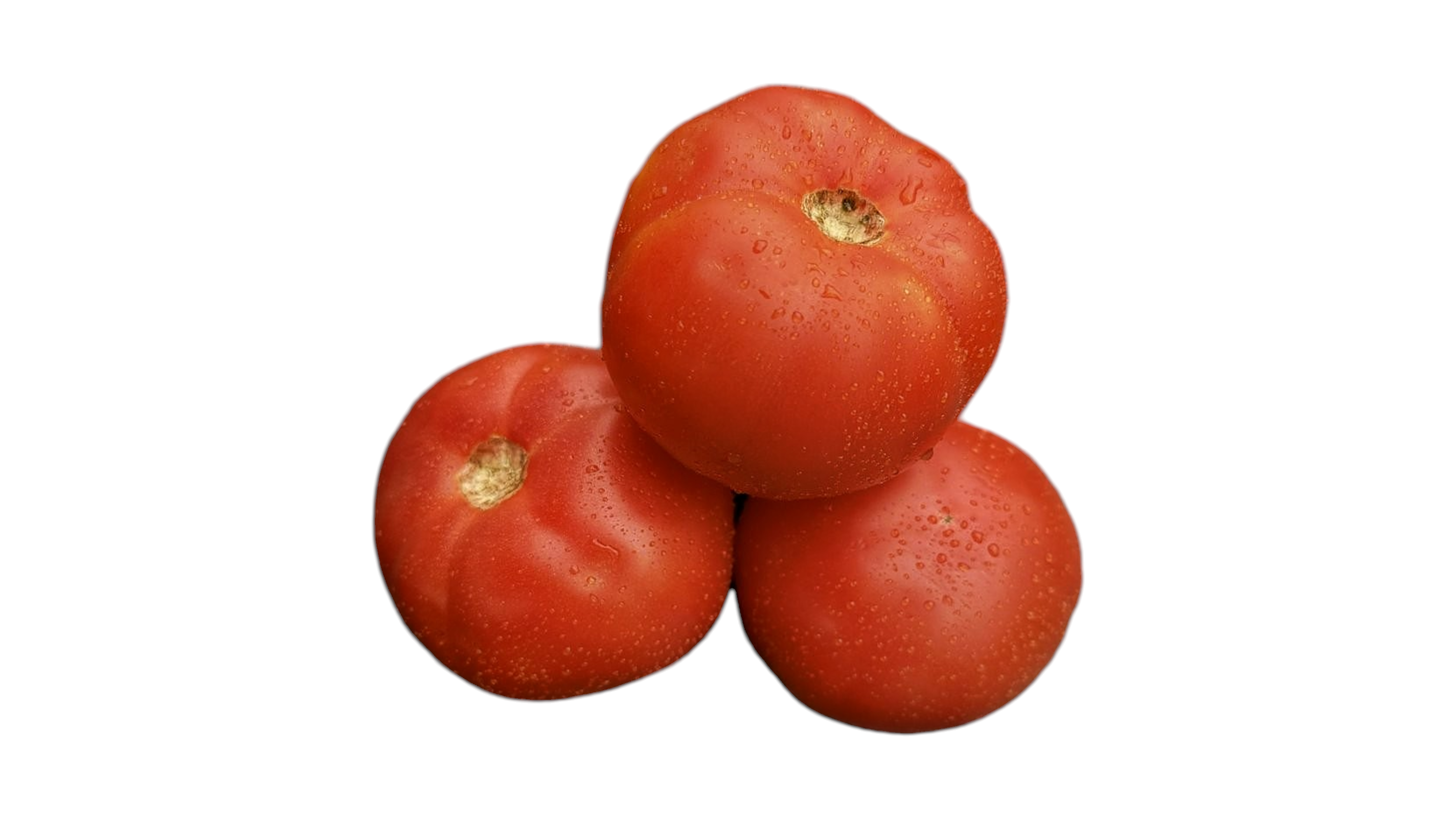 Rajčica jabučar, 1 kg