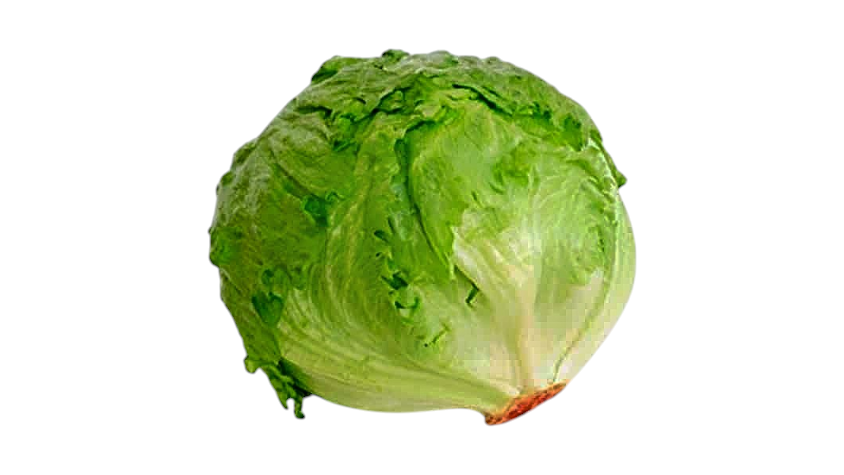 Iceberg salata, 1 kg